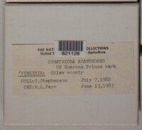 Image Associated With the Occurence